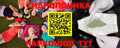 ПСИЛОЦИБИНОВЫЕ ГРИБЫ Аргун
